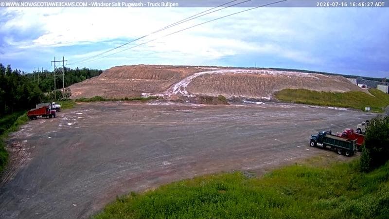 Windsor Salt