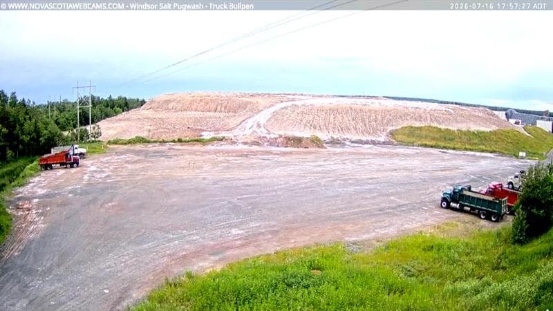 Windsor Salt