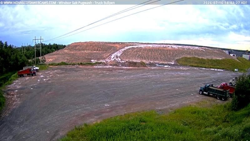 Windsor Salt