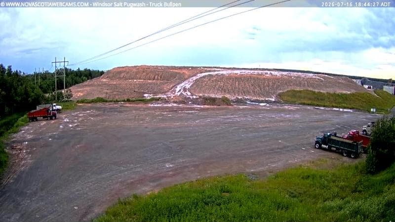 Windsor Salt