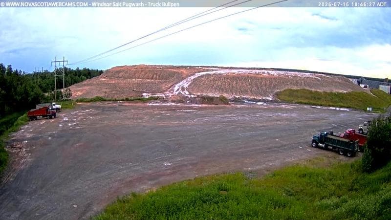 Windsor Salt