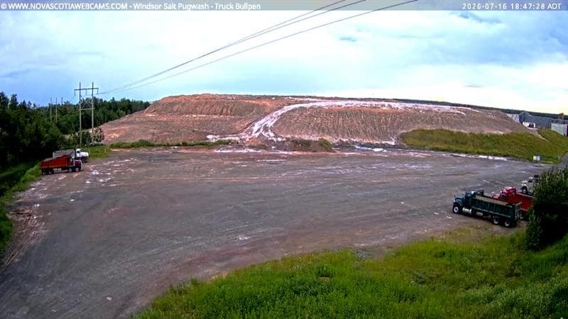 Windsor Salt