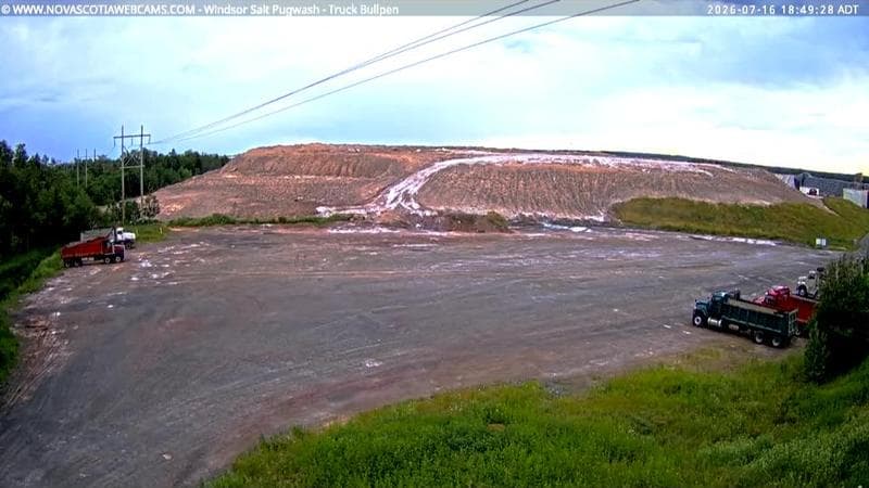 Windsor Salt