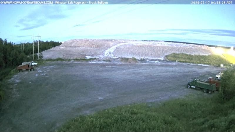 Windsor Salt