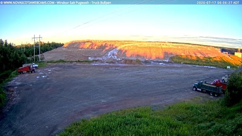 Windsor Salt