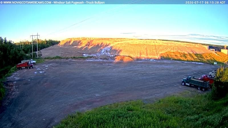 Windsor Salt
