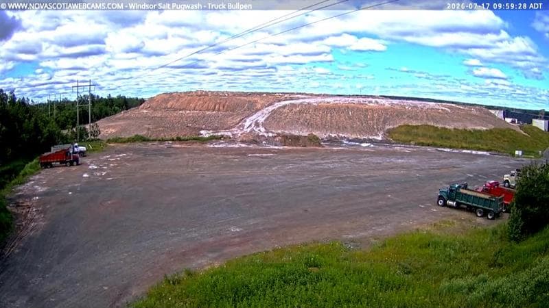 Windsor Salt