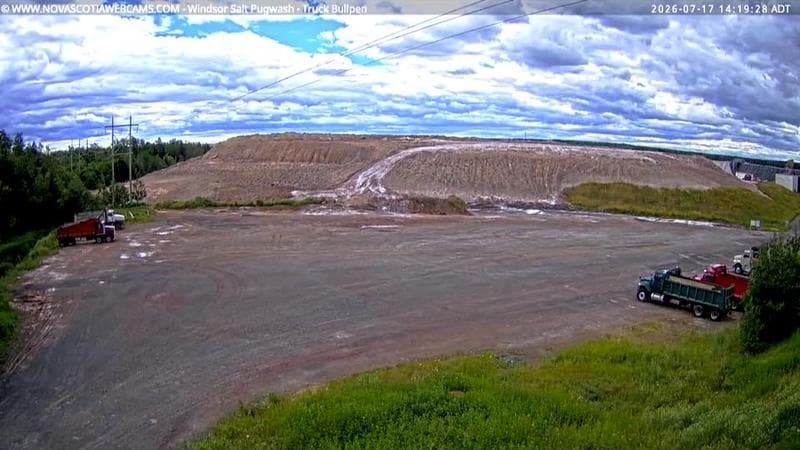 Windsor Salt