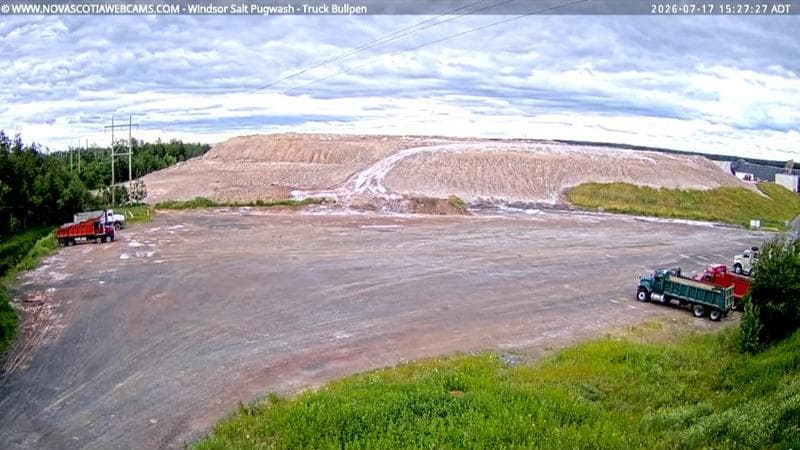 Windsor Salt