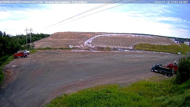 Windsor Salt