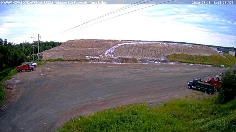 Windsor Salt