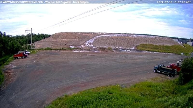 Windsor Salt