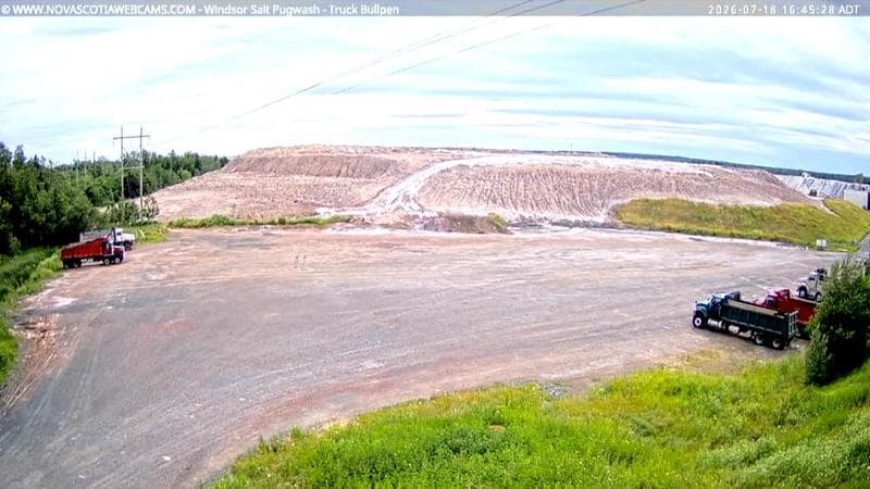 Windsor Salt