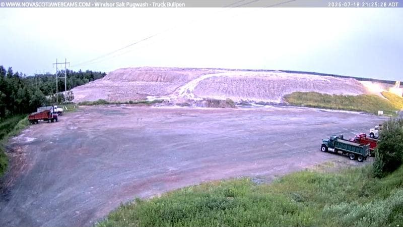 Windsor Salt