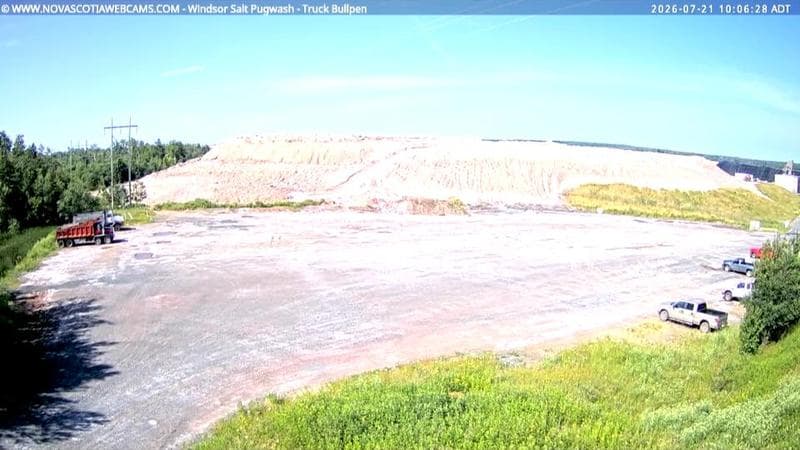 Windsor Salt