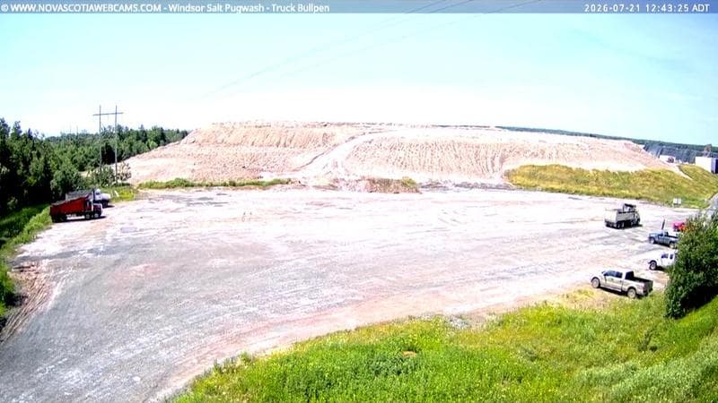 Windsor Salt