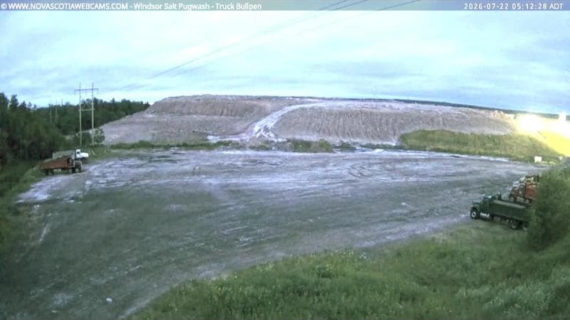 Windsor Salt