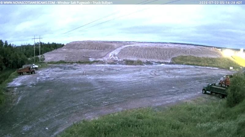 Windsor Salt
