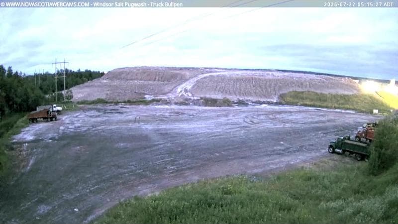 Windsor Salt