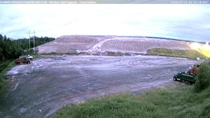 Windsor Salt