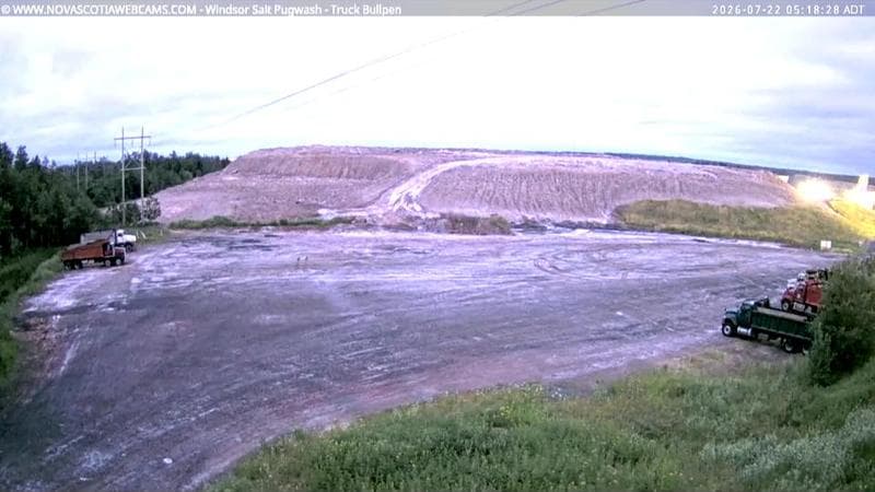 Windsor Salt