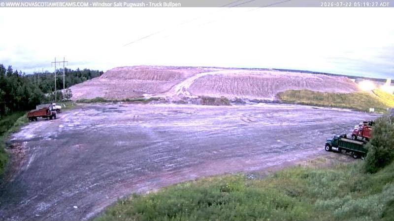 Windsor Salt