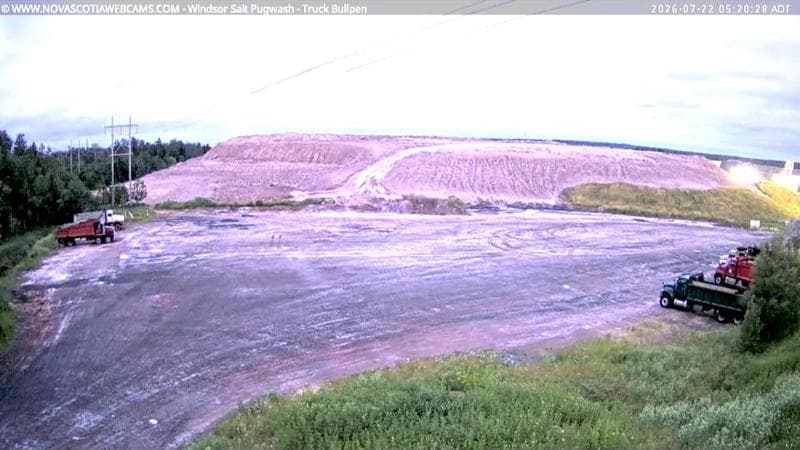 Windsor Salt