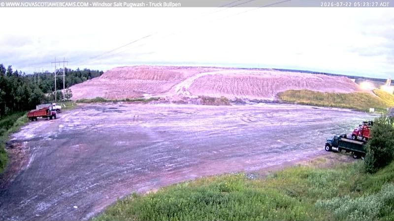 Windsor Salt