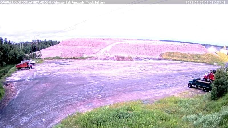 Windsor Salt