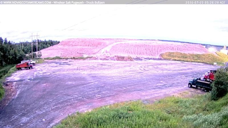 Windsor Salt