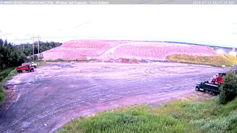 Windsor Salt
