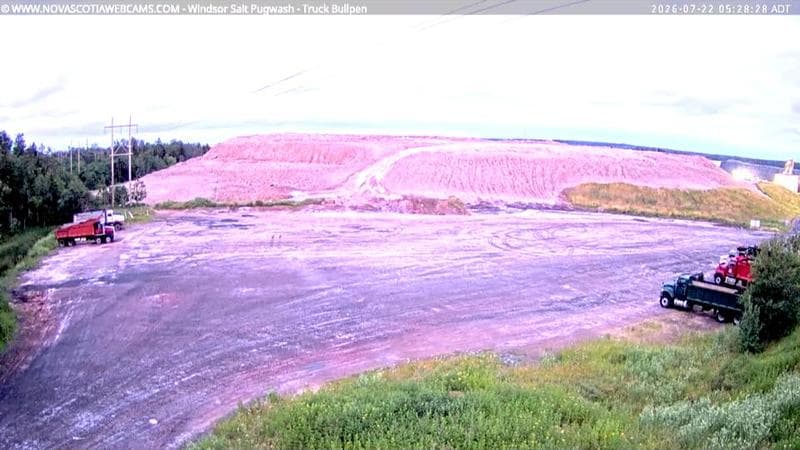 Windsor Salt