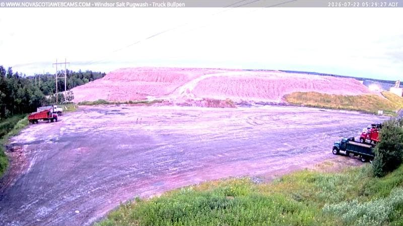 Windsor Salt