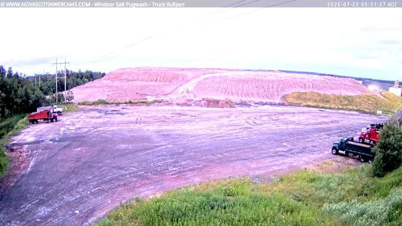 Windsor Salt