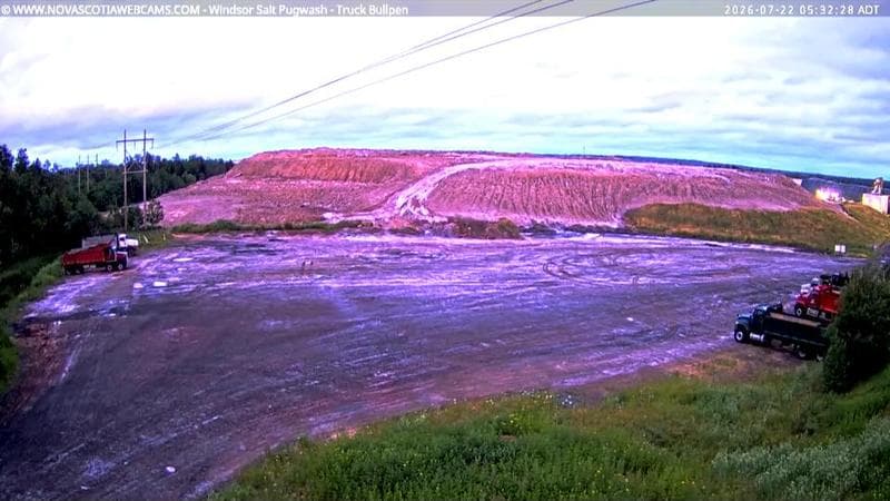 Windsor Salt