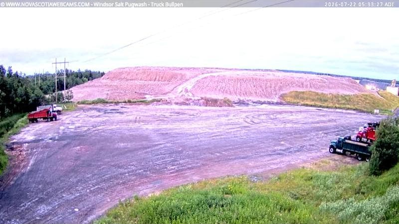 Windsor Salt