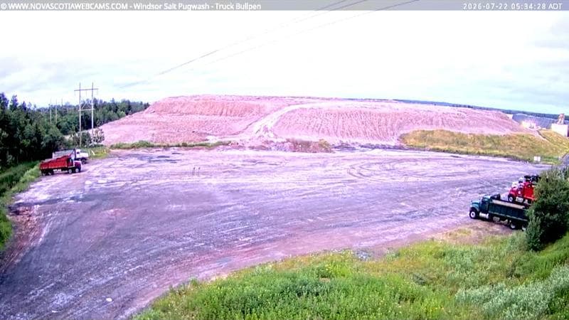 Windsor Salt