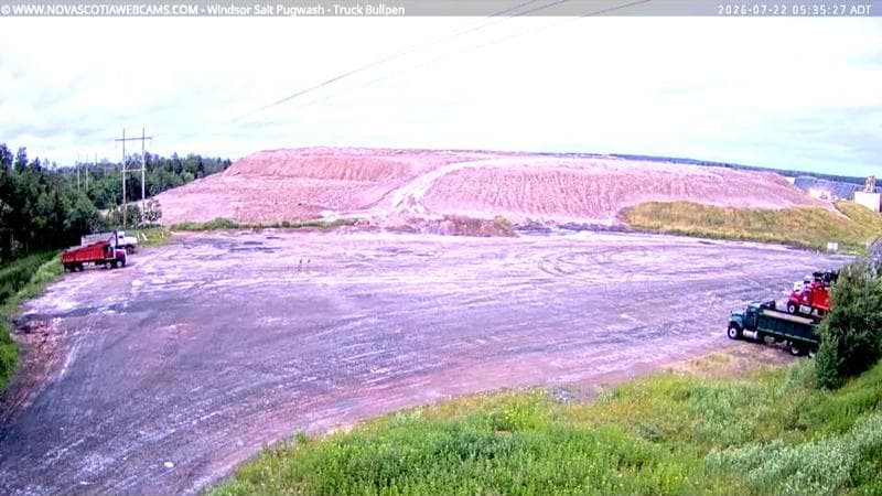 Windsor Salt