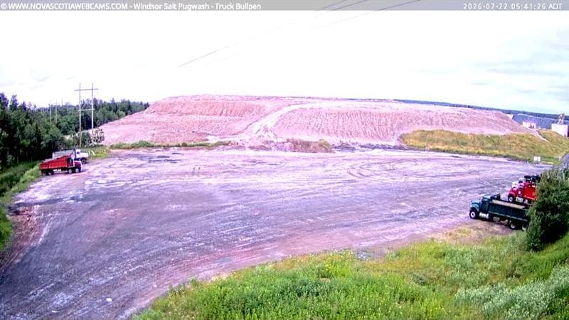 Windsor Salt