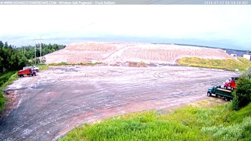 Windsor Salt