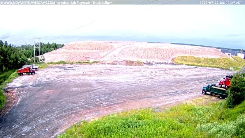 Windsor Salt