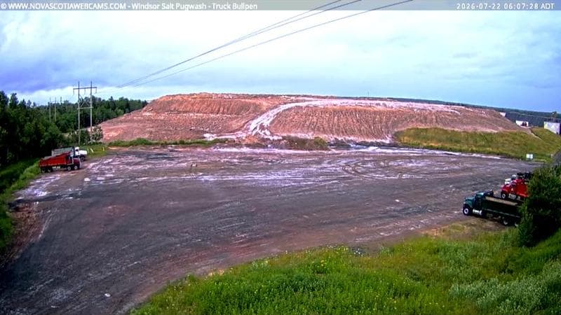 Windsor Salt