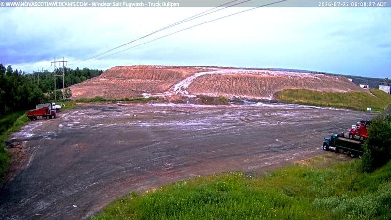 Windsor Salt