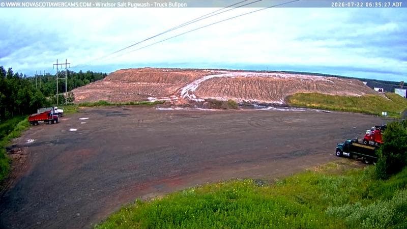 Windsor Salt