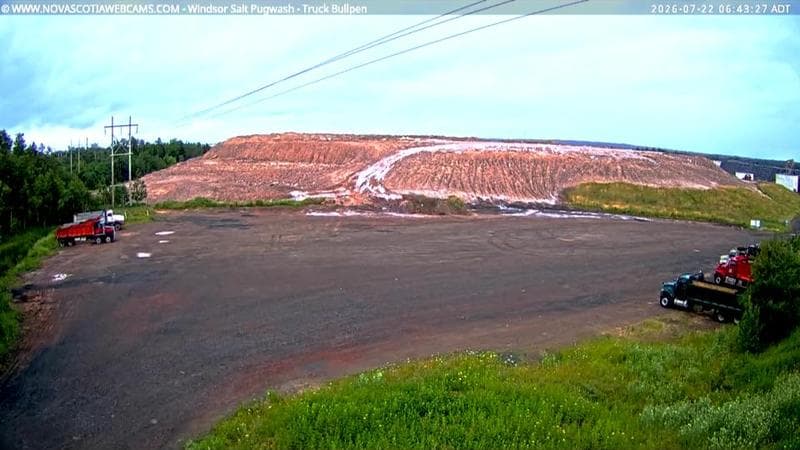 Windsor Salt