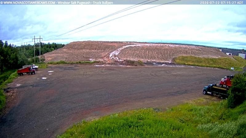 Windsor Salt