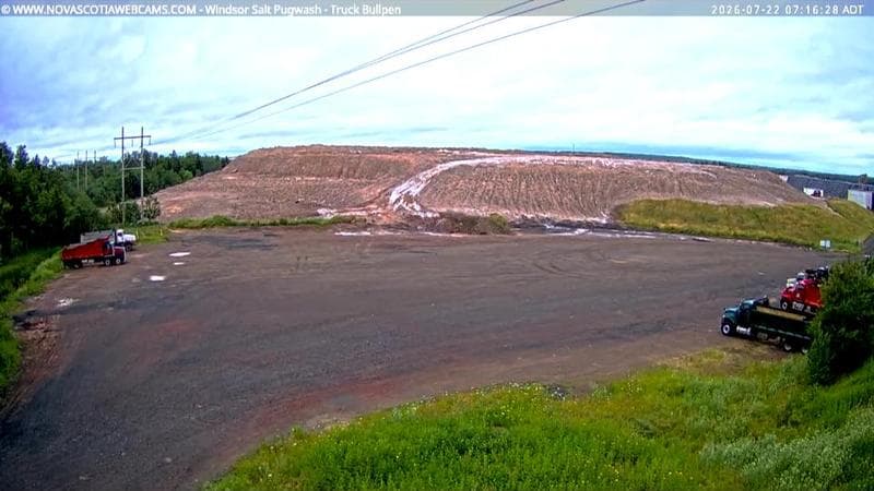 Windsor Salt
