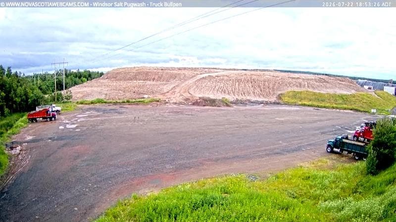 Windsor Salt