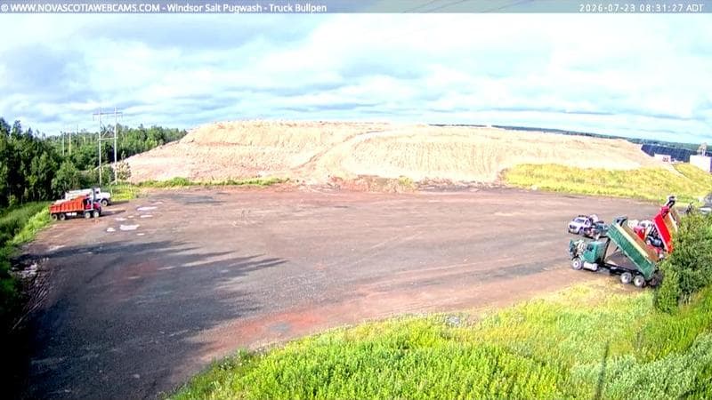 Windsor Salt