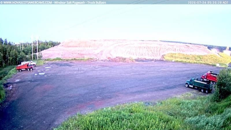 Windsor Salt